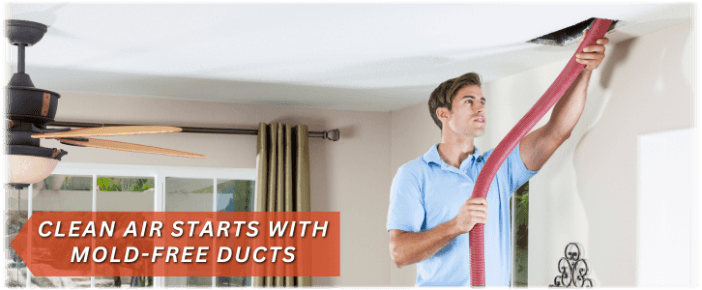 Air Duct Mold Removal in Phoenix