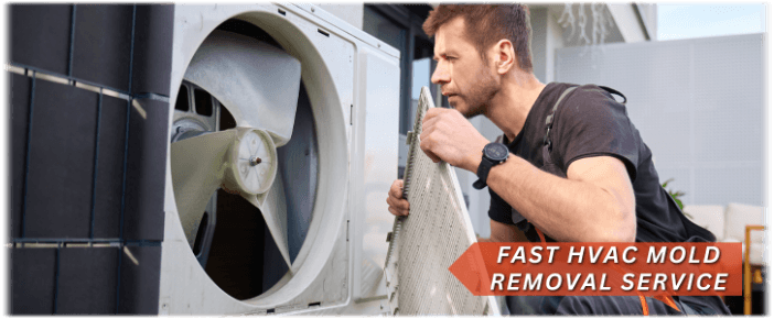 HVAC Mold Removal Phoenix